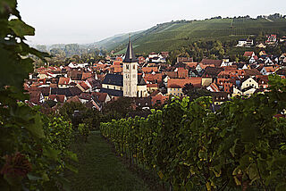 Franken_Weinregionen__1_.jpg